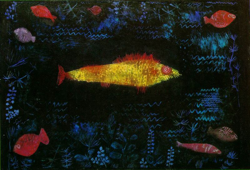 Goldfish