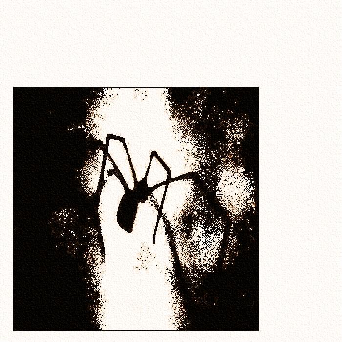 L-ARAIGN-E
