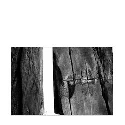 Il legno - segnato- vulnerabile- ustionato