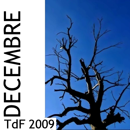 LOGO DEC 2009