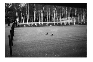 «flacons de mémoires suturées» Flacons de m-moires sutur-es