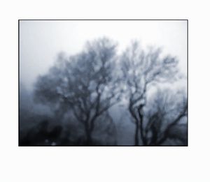 Ouate collines Brouillard 1