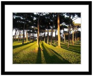 Luce romana en  635