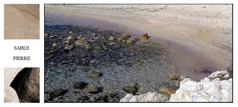 Sable