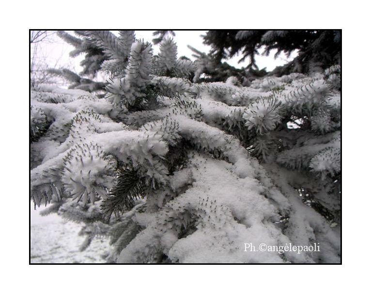 Winter2