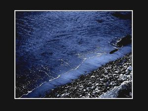 Les cris de la dernière vague