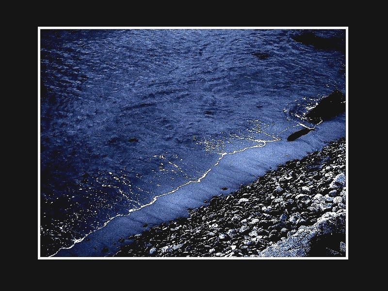 Les cris de la derni-re vague