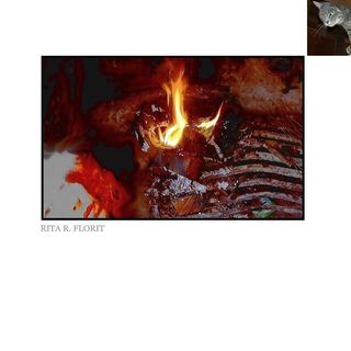 Ho fuoco in abbondanza e mi devasta e offrirtelo decuplica la pena