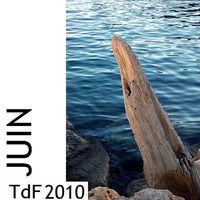 Logo  tdf juin 2010