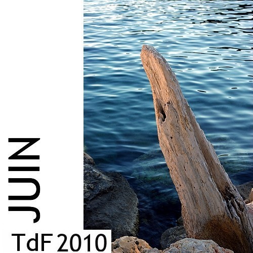 Logo  tdf juin 2010