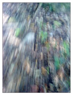 Arnaout 4