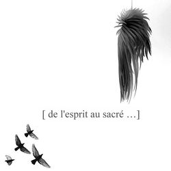 6e livraison de Thauma.