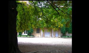 ARBRE