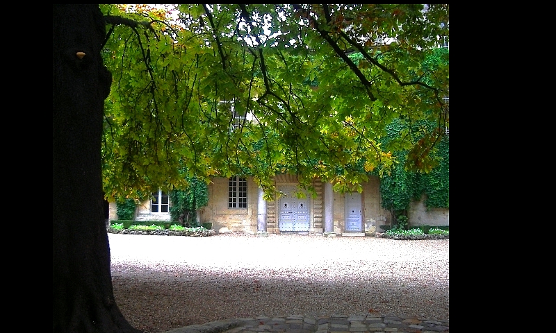 ARBRE