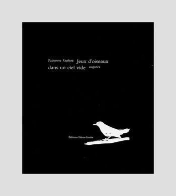 Jeux d'oiseaux  dans un ciel vide