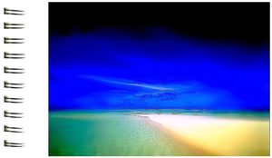 Cette plage extasi-e