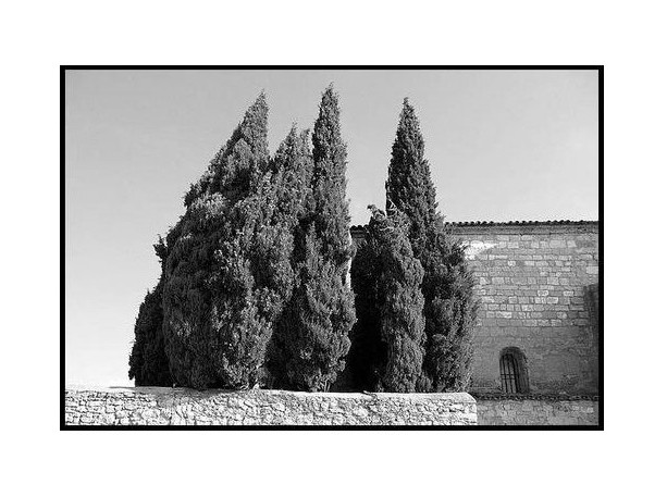 Chassés par le vent