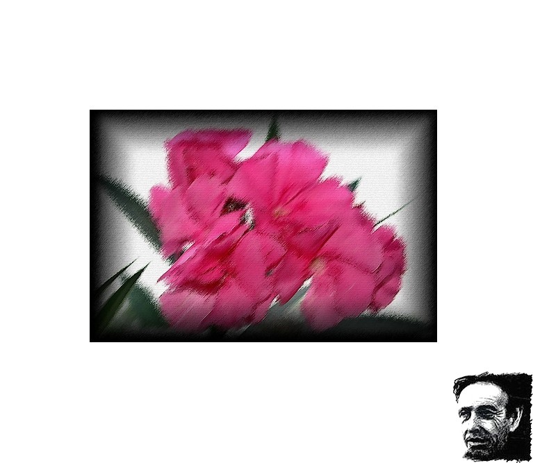 La graine de l--me