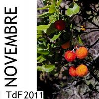 TDF NOV 2011