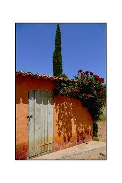 Ma vacuité ressemble aux ombres | du mouvement des fleurs sur le mur