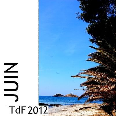 CLIQUER SUR LA PHOTO pour accéder au SOMMAIRE du numéro de juin 2012 Logo TDF juin 2012