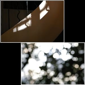 Dans une confusion d’esprit  vers l’automne dans l’ombre hors de l’enclos