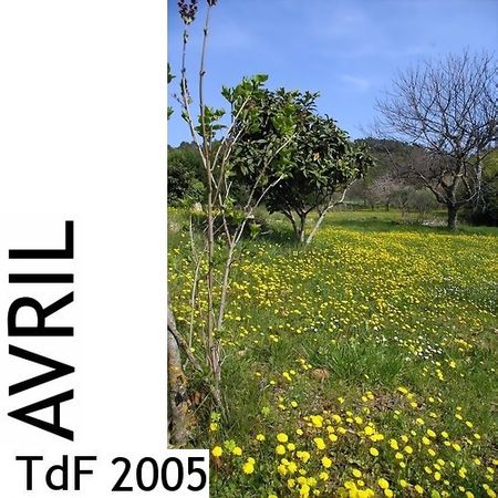 TdF - avril 2005