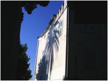 Casa Piccioni, Pino Casa Piccioni, Pino
