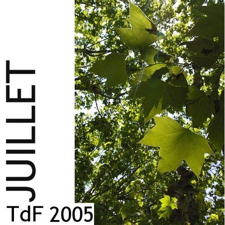 TdF - juillet 2005