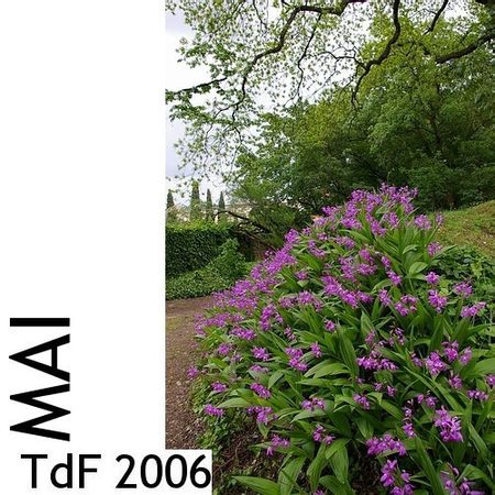 TdF - mai 2006