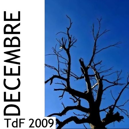 TdF - décembre 2009