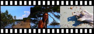 Les voici les instruments des sens qui ne rêvent pas