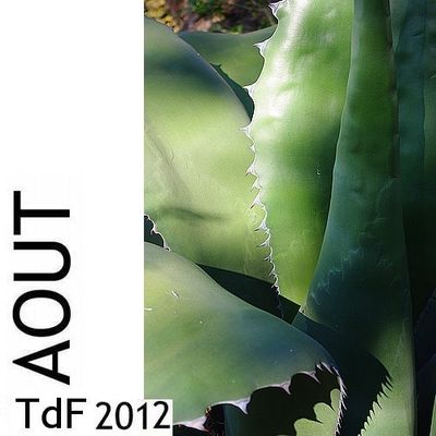 CLIQUER SUR LA PHOTO pour accéder au SOMMAIRE du numéro d'août 2012 LOGO AOUT 2012