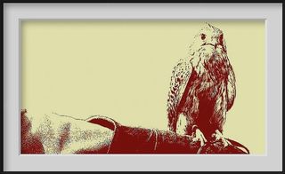 TU VIENS SOUVENT AVEC TON OISEAU SUR LE POING TON OISEAU SUR LE POING