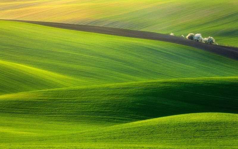 Crayonné paysage. Krzysztof Browko,  Sony World Photography Awards 2012