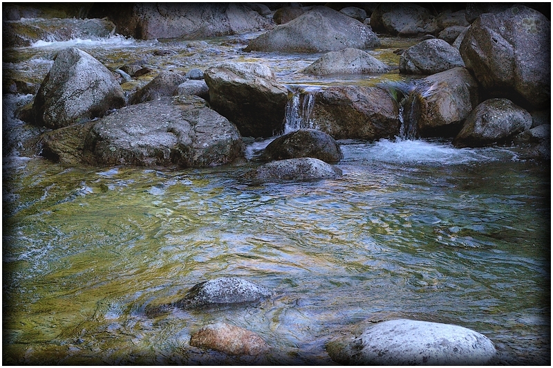 La riviere
