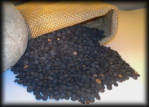 Lenticchia_nera
