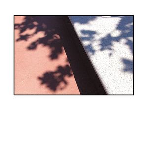 L'ombre apprivoisée