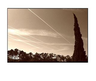 Les pas renouent les fils du paysage
