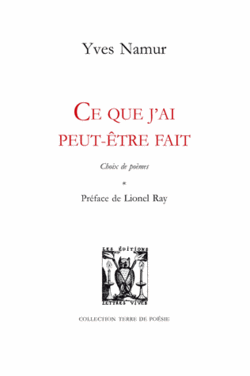 Yves Namur, Ce que j'ai peut-être fait