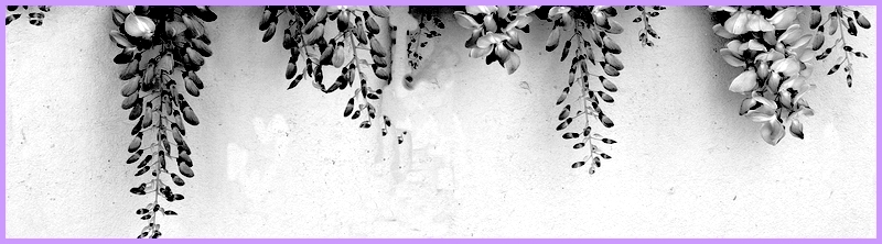 Glycine