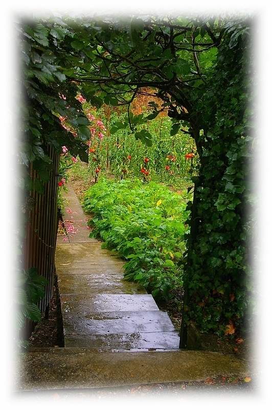 O tempo é o de um jardim