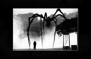 Araignée