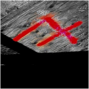 Le rouge du langage, mais aussi de la plaie béante, de la violence insoutenable, du cri à vif Rouge