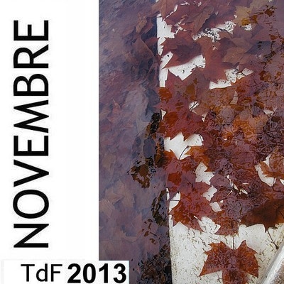 CLIQUER SUR LA PHOTO pour accéder au SOMMAIRE du numéro du mois de novembre 2013 TDF novembre 2013