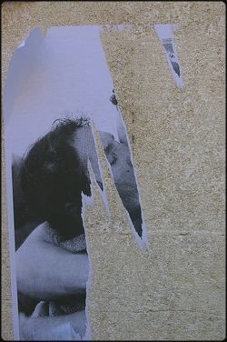 Une tête admirablement vide