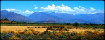South-africa-veld