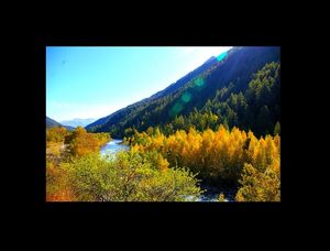 Jaune sur jaune
