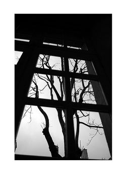 Et la mort est déjà au fond d'une vitre |  dans un ciel qui ne bouge pas