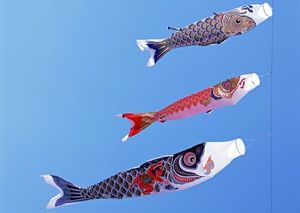 Suivre le poisson, suivre l’oiseau